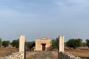 Vendita terreno agricolo