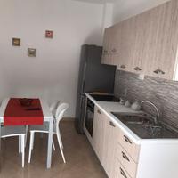 Stanze per studentesse