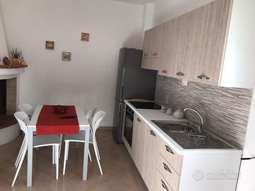 Stanze per studentesse