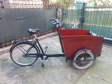 Cargo bike Babboe bike muscolare 