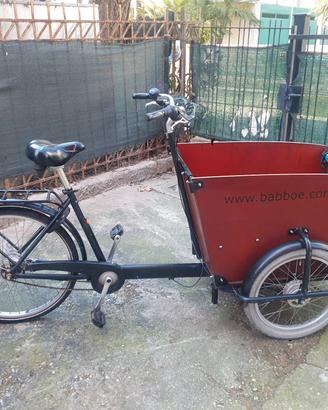 Cargo bike Babboe bike muscolare 