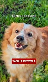 Ricky taglia piccola
