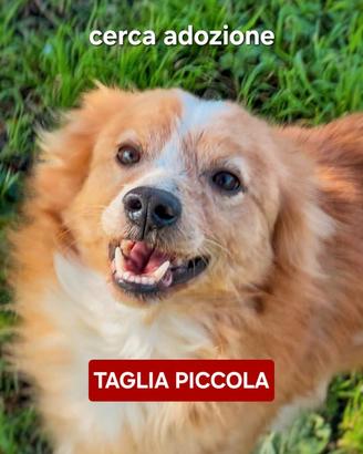 Ricky taglia piccola