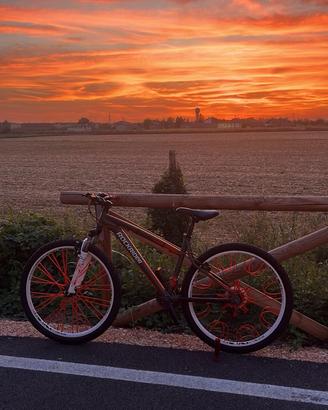 Rockrider 5.1 XL Wheelie Red Ruote 27.5" + Ricambi