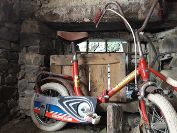 Bicicletta Giordani