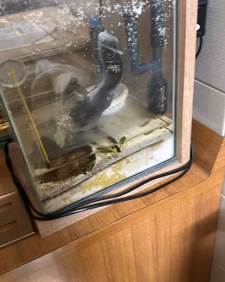 Acquario