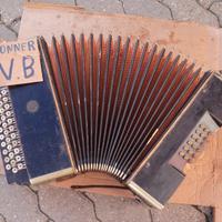 Fisarmonica a bottoni honner