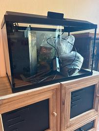 Acquario Blu Bios Genius 40 completo di accessori