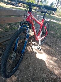 Specialized s-work