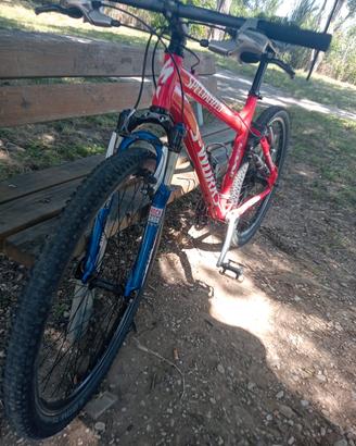 Specialized s-work