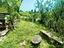 Immagine 19