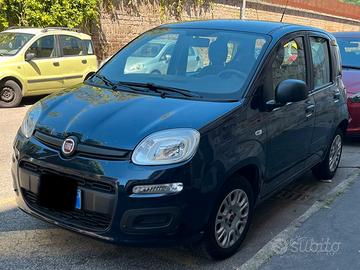 Panda blu 1200 benzina unico proprietario
