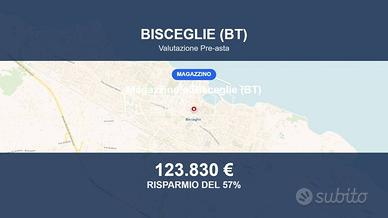 Immobile in asta di 175 m² a Bisceglie