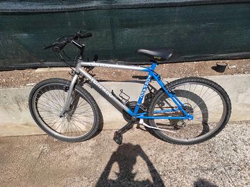 Bicicletta