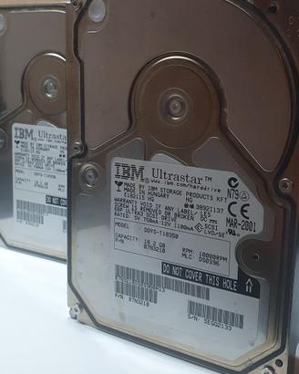 Coppia IBM Ultrastar DDYSS-T18350 