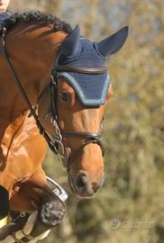 cuffia  Cavallo con glitter fatta a mano