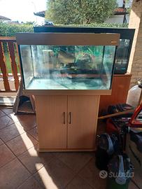 Acquario 80x40x50 piu mobile 80x40x70
