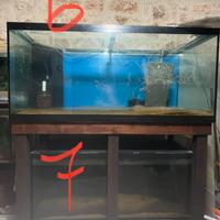 ACQUARI VARIE DIMENSIONI