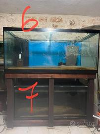 ACQUARI VARIE DIMENSIONI