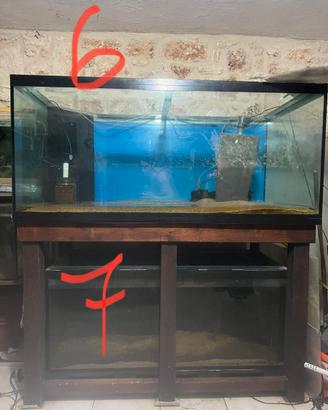 ACQUARI VARIE DIMENSIONI