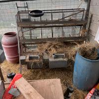 gabbia per conigli da allevamento