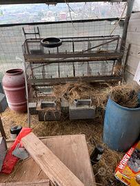 gabbia per conigli da allevamento