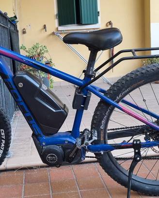 emtb Focus 