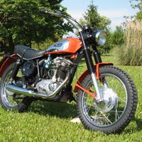 Ducati Scrambler 350 - 1973