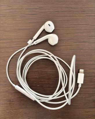 Apple Earpods lightning