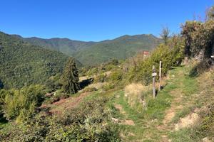 Proprieta' coltivabile e castagneto pregio triora