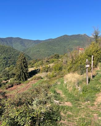Proprieta' coltivabile e castagneto pregio triora