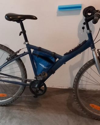 mtb donna