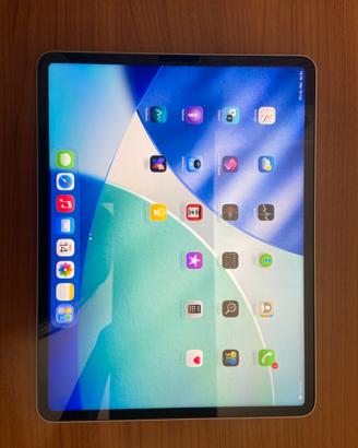 iPad Pro 12,9” + apple pencil e accessori