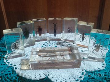 INDETTI DA COLLEZIONE RESINA 