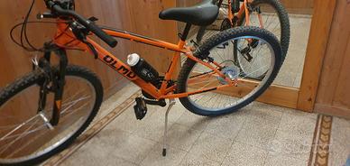 bicicletta ragazzo