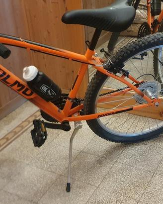 bicicletta ragazzo
