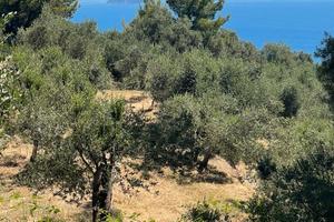 Terreno edificabile con potenziale a Laigueglia