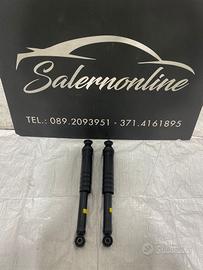 Ammortizzatori posteriori Smart 451