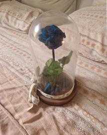 rosa blu finta con teca