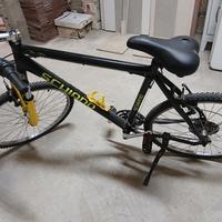 bicicletta uomo