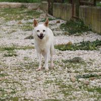 Super nonny alla riscossa, aspetta la sua mammaaaa