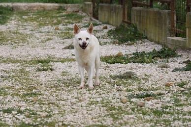 Super nonny alla riscossa, aspetta la sua mammaaaa
