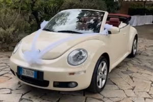 New beetle red edition