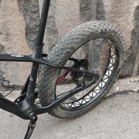 fat bike carbonio
