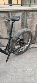 fat bike carbonio