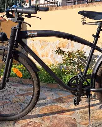 Bicicletta da passeggio
