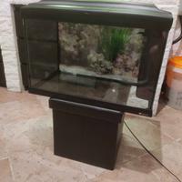 Acquario Cayman 75 LT
