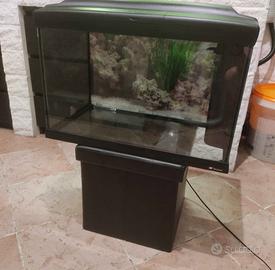 Acquario Cayman 75 LT