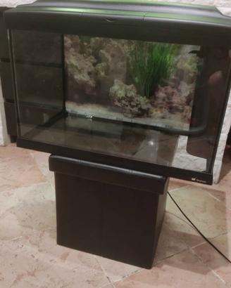 Acquario Cayman 75 LT