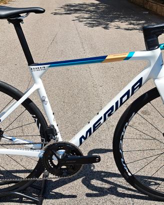 MERIDA SCULTURA TEAM